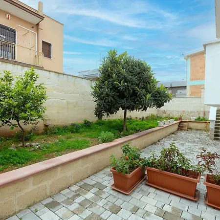 Palma 1